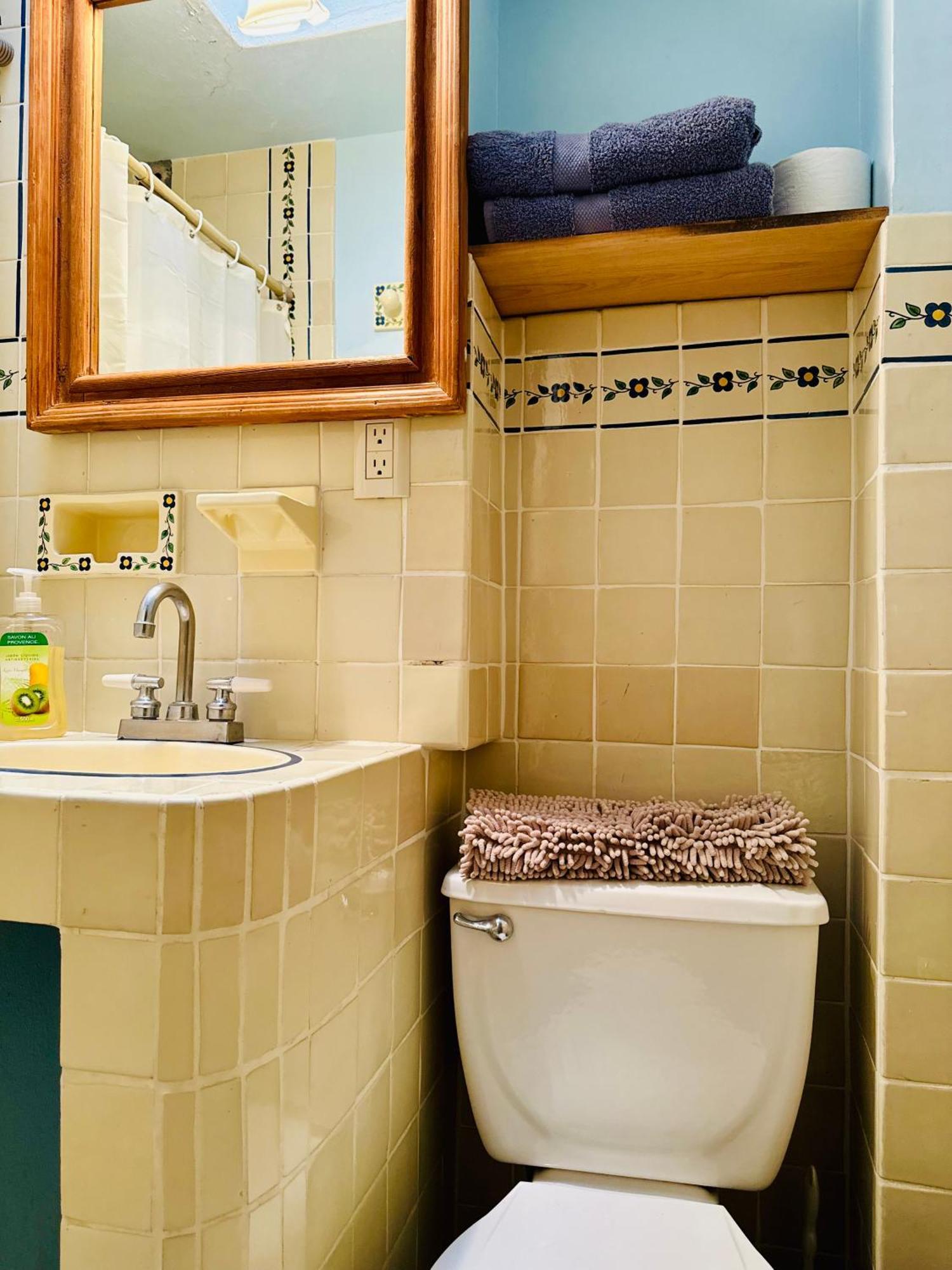 グアナファト ラ カーサ グランデ Bed & Breakfast エクステリア 写真