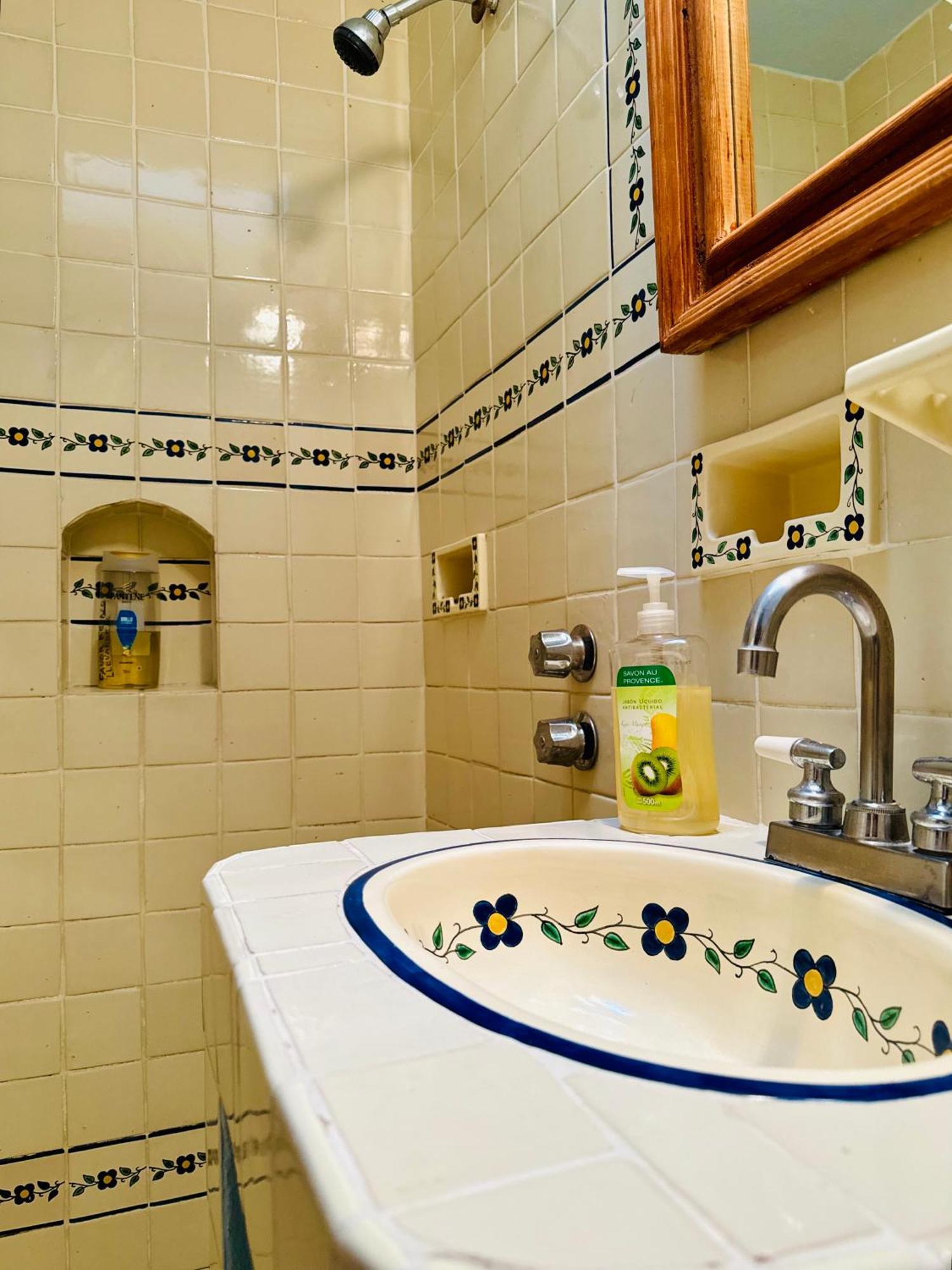 グアナファト ラ カーサ グランデ Bed & Breakfast エクステリア 写真